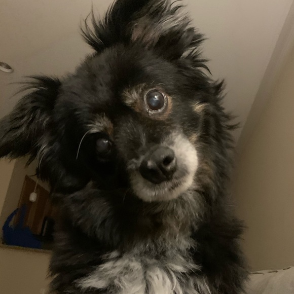 Meet your Posher, Eunji - Picture 1 of 1